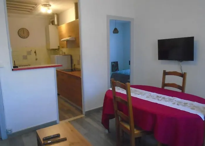 T4 Plein Centre Apartment Lourdes